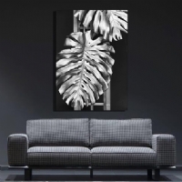 MONSTERA SILVER - S�ML� KANVAS TABLO